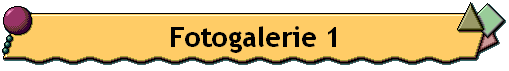 Fotogalerie 1